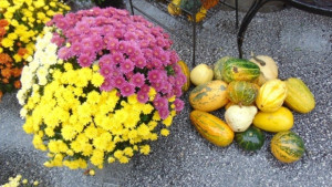 Времето на 20 ноември Предимно облачно на места е възможно