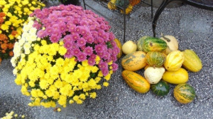 Времето на 20 ноември Предимно облачно на места е възможно