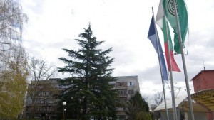 Димитровград търси вишка за украса на живата коледна елха