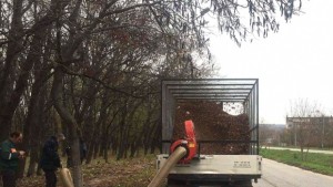 Модерна машина освобождава Девня от есенния килим