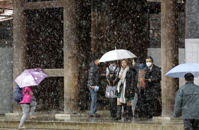 За първи път от 54 години: В Токио заваля сняг през ноември (ВИДЕО/СНИМКИ)