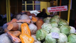 Производители Тонове зеле ще останат на полето ВИДЕО