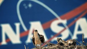 НАСА дава 30 000 ако решите проблема с ходенето до