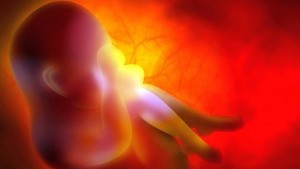 Триизмерна интерактивна карта показва развитието на човешкия ембрион ВИДЕО