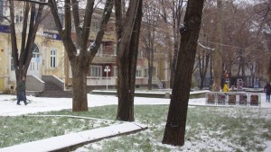 Няма заледени пътища в Добричко