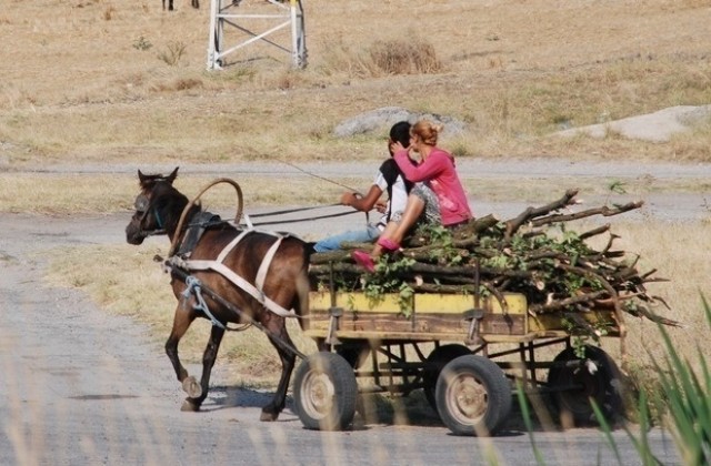 Общината призовава гражданите да съдействат при незаконна сеч