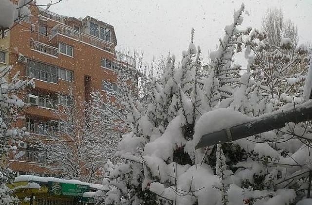 Как видяхте първия сняг в различни краища на България (СНИМКИ)