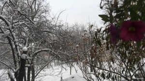 Какво време ни очаква през декември