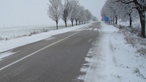 Пътната обстановка в Русенска област