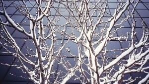 Какво време ни очаква през декември