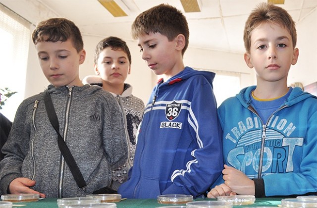 Студенти показаха на ученици как се рисува с микроорганизми