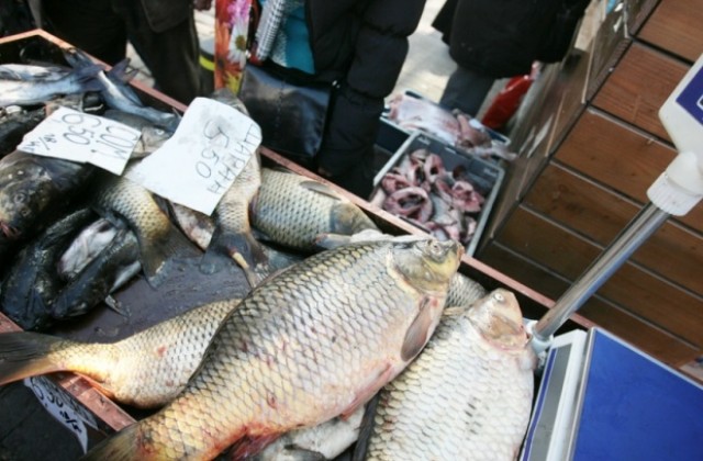 Агенцията по рибарство започва масови проверки преди Никулден