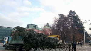 Коледната елха пристигна в Кюстендил