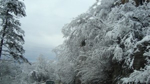 Започна и изкуственото заснежаване на пистите в Пампорово
