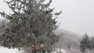 12 см е снежната покривка на прохода Шипка