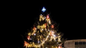 Грейна коледната елха в Каварна започват празнични изложби базари и