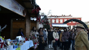 Майстори самодейци от социалните услуги във ВТърново показват творбите си