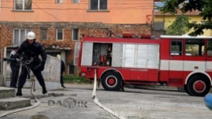 5 декември Международен ден на доброволеца