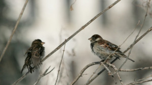 Повече слънце помалко вятър в неделя