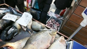 Балканска пъстърва заля пазара във Варна