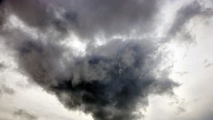 Котенцетермометър съобщава прогнозата за времето СНИМКИ