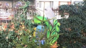 Горското стопанство в Търговище подари елхички на детските и учебните