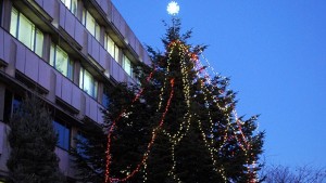 Запалиха светлините на коледната елха в ГенТошево