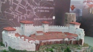 Ден на дарителя в община Мездра