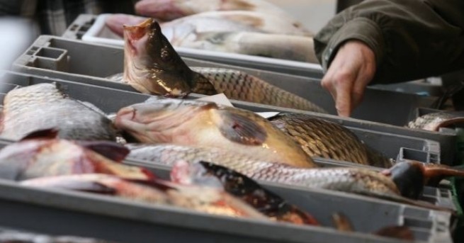 Силният вятър който бушува от дни по Северното Черноморие наду