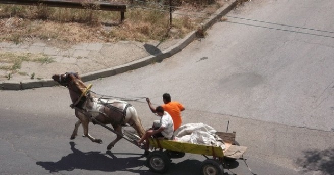 Пълна забрана за каруците в София Такава крайна мярка обсъждат