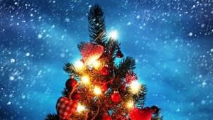 Днес грейва Коледното дърво в Казанлък