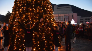 Грейна коледната елха във Враца