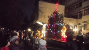 Грейнаха светлините на коледната елха в Тервел