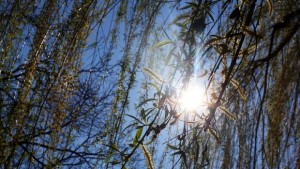 Какво ще е времето на студентския празник