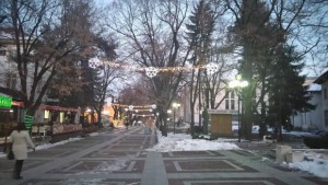 Грейва коледната елха във Велинград