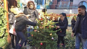 Горски стопанства продават живи елхички с благотворителна цел