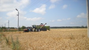 Земеделци Рентите в Добруджа са много високи самоунищожаваме се с