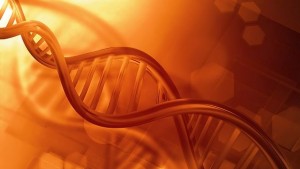 Проследяват историята на вариола чрез ДНК от вируса в мумифицирано