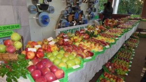 Ябълката свързва отново с проект Института по земеделие в Кюстендил