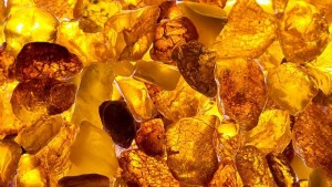 Откриха добре запазена опашка на динозавър в кехлибар