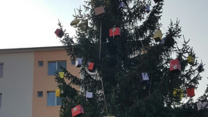 Музикална Коледна елха украси двора на МБАЛ Авис Медика