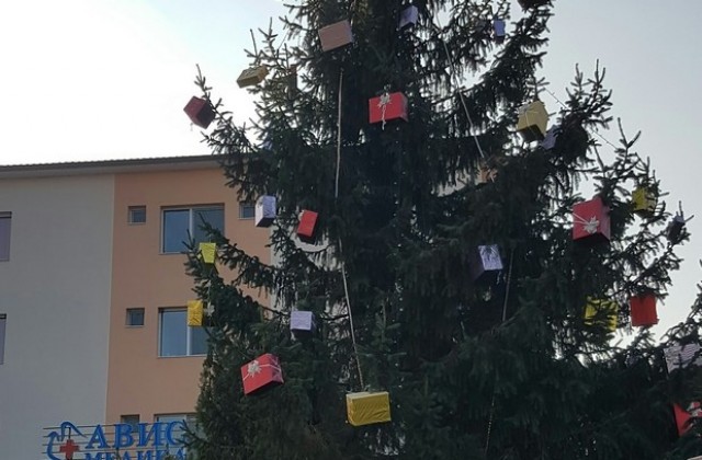 Музикална Коледна елха украси двора на МБАЛАвис Медика