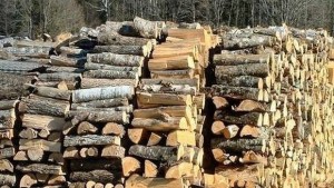 Горското дарява дърва за огрев в Хитрино