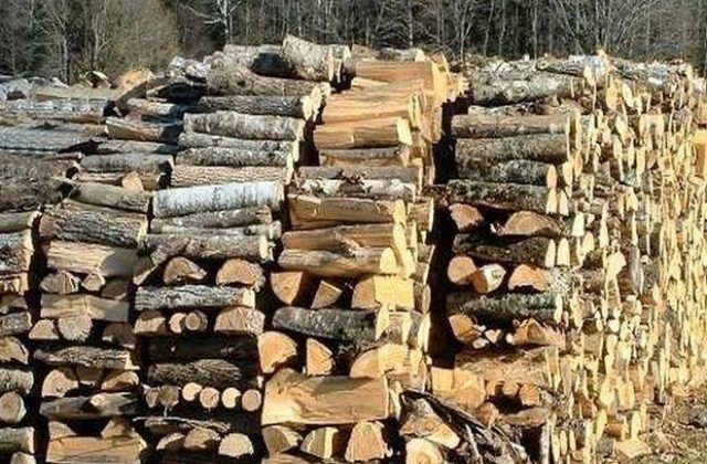 Горското дарява дърва за огрев в Хитрино