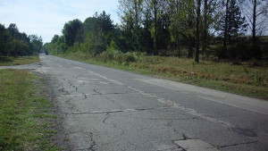 36годишен шофьор загина след удар в дърво