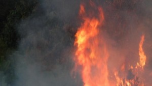 Разследват пожара в Бачково