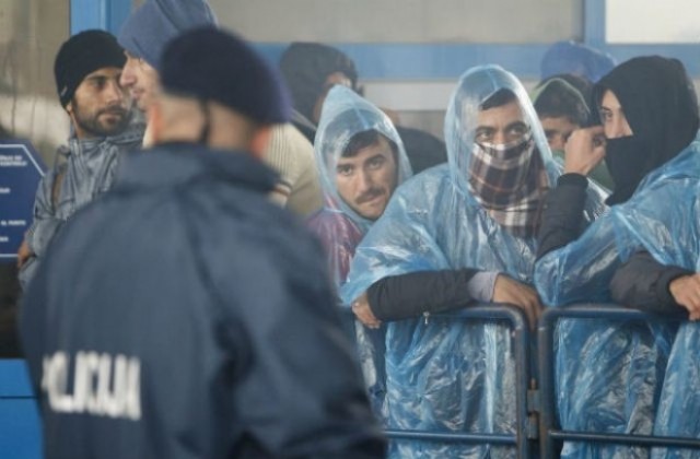 36 нелегални имигранти от Ирак, между които 11 деца, са задържани на територията на област Добрич