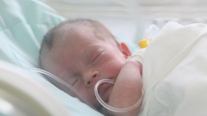 Ценни спортни артикули уникални картини и снимки за благотворителния търг