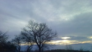 Зимна обстановка в община Габрово