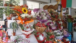 Запалиха павилион за цветя Хванаха подпалвача